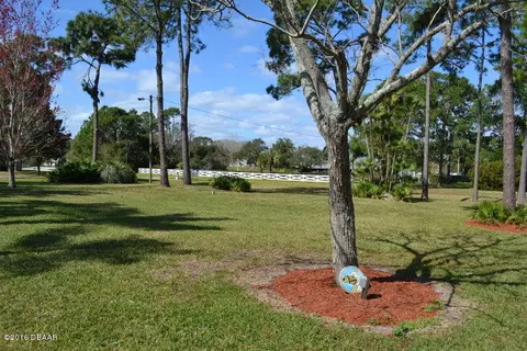 102 Pine Tree Dr, Ormond Beach, FL 32174 photo 29