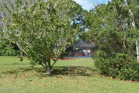 102 Pine Tree Dr, Ormond Beach, FL 32174 photo 23