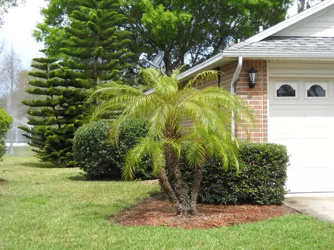1 Old Macon Dr, Ormond Beach, FL 32174 photo 8