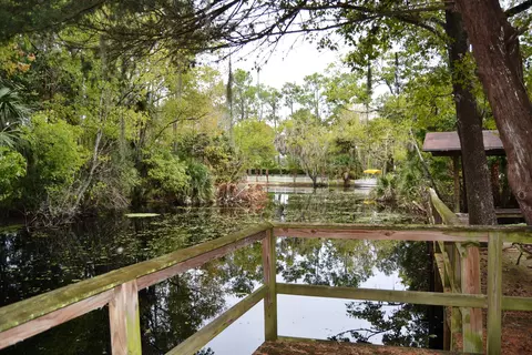 56445 Maple Rd, Astor, FL 32102 photo 4