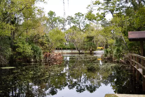 56445 Maple Rd, Astor, FL 32102 photo 2