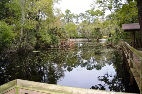 56445 Maple Rd, Astor, FL 32102 photo 5