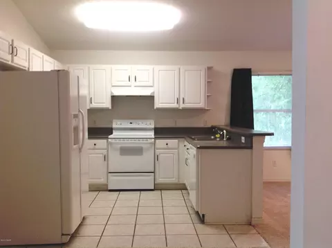 10 Rocky Ridge Trl, Ormond Beach, FL 32174 photo 4