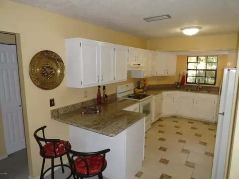 1526 Orange Tree Dr, Edgewater, FL 32132 photo 8