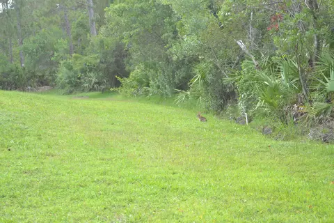 142 E Woodhaven Cir, Ormond Beach, FL 32174 photo 8