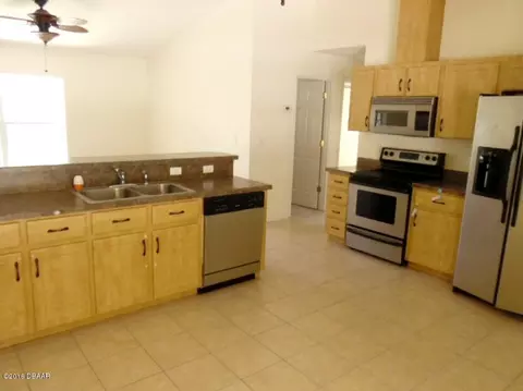1905 Orange Tree Dr, Edgewater, FL 32141 photo 5
