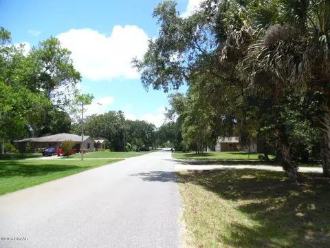 1905 Orange Tree Dr, Edgewater, FL 32141 photo 20
