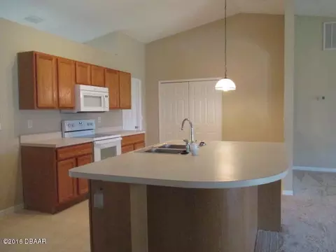 3203 Lime Tree Dr, Edgewater, FL 32141 photo 6