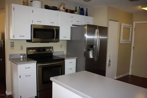 3309 Vista Palm Dr, Edgewater, FL 32141 photo 4