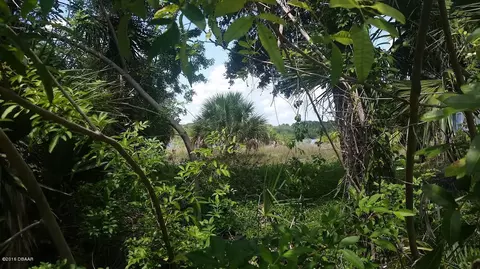 3690 John Anderson Dr, Ormond Beach, FL 32176 photo 8
