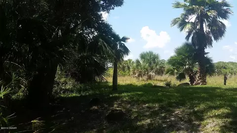 3690 John Anderson Dr, Ormond Beach, FL 32176 photo 6