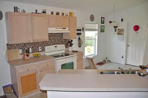 206 Tree Branch Ln, Edgewater, FL 32141 photo 10