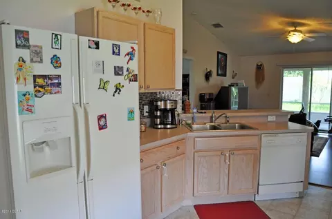 206 Tree Branch Ln, Edgewater, FL 32141 photo 13