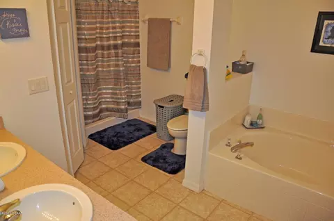206 Tree Branch Ln, Edgewater, FL 32141 photo 16