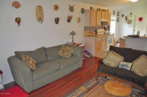 206 Tree Branch Ln, Edgewater, FL 32141 photo 3