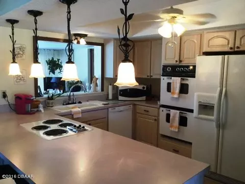 4 Sea Grape Ter, Ormond Beach, FL 32176 photo 6