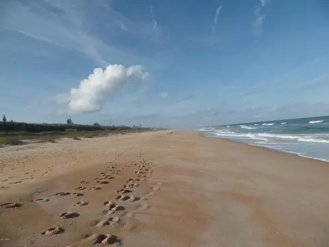 4 Sea Grape Ter, Ormond Beach, FL 32176 photo 16