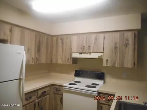 52 Forest Rd, Flagler Beach, FL 32136 photo 2