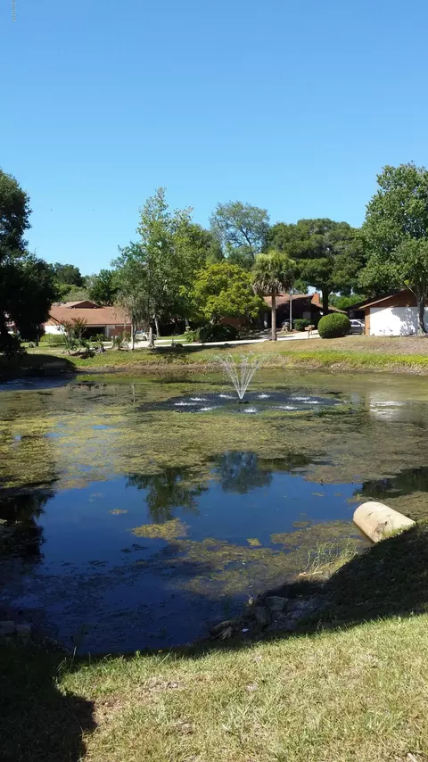 31 Indian Trl, Ormond Beach, FL 32174 photo 36