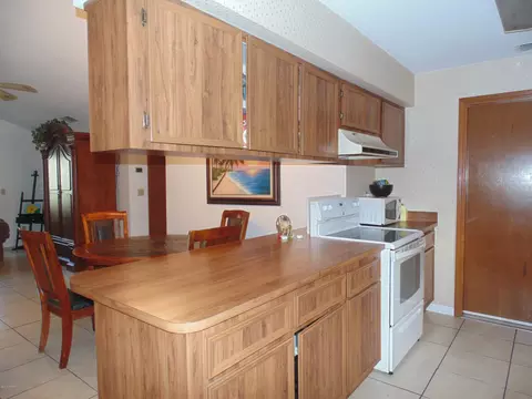 303 Paradise Ln, Edgewater, FL 32132 photo 3