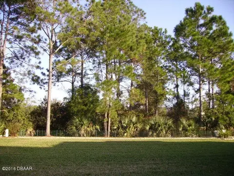 1080 Cinnamon St, Bunnell, FL 32110 photo 1