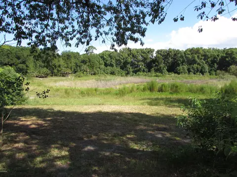 154 E 4th Ave, Pierson, FL 32180 photo 6