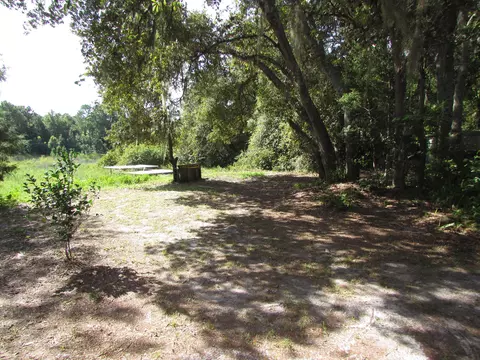 154 E 4th Ave, Pierson, FL 32180 photo 3