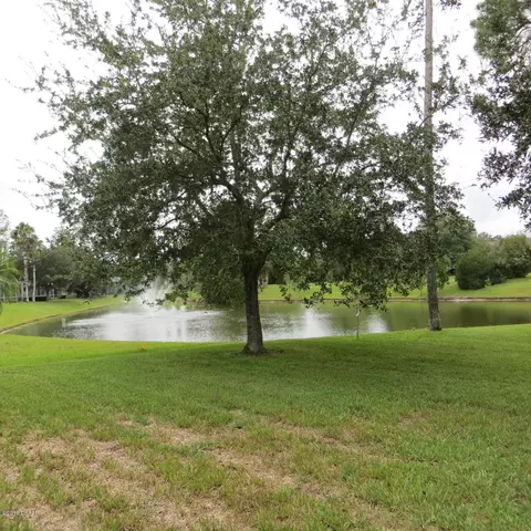 20 Circle Creek Way, Ormond Beach, FL 32174 photo 23