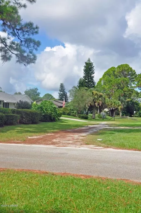 2904 Pine Tree Dr, Edgewater, FL 32141 photo 3