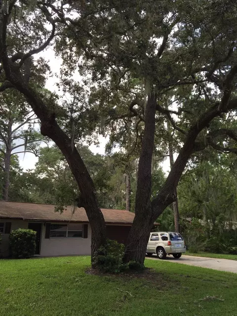 2208 Pine Tree Dr, Edgewater, FL 32141 photo 2