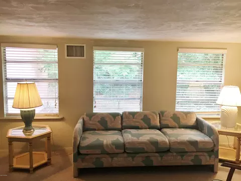 116 E Knapp Ave, Edgewater, FL 32132 photo 7