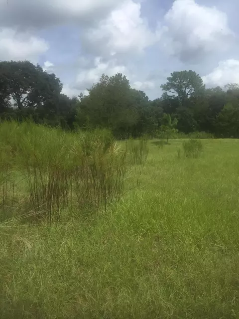 305 Airport Rd, Ormond Beach, FL 32174 photo 8