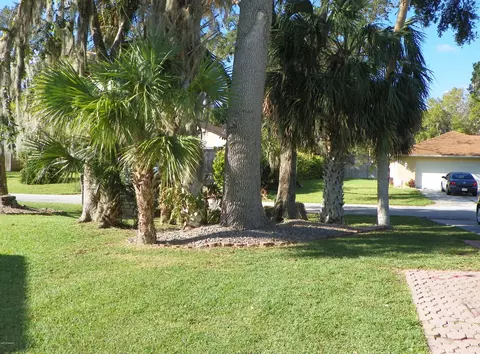 2403 Mango Tree Dr, Edgewater, FL 32141 photo 19