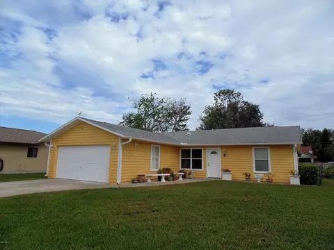 1419 Umbrella Tree Dr, Edgewater, FL 32132 photo 1