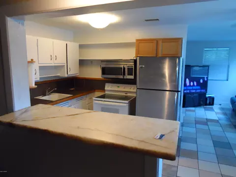 37 Alamanda Dr, Ormond Beach, FL 32176 photo 8
