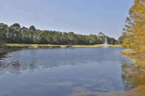 1010 Hampstead Ln, Ormond Beach, FL 32174 photo 32