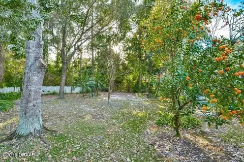 4 Meadowfield Ct, Ormond Beach, FL 32174 photo 37