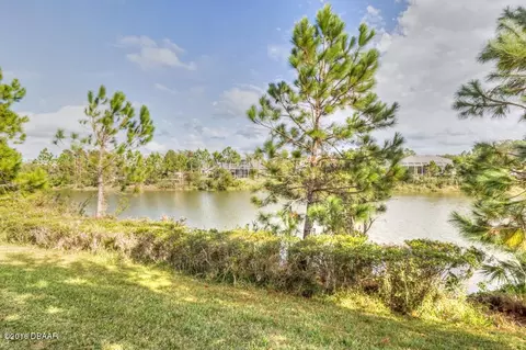 96 Deep Woods Way, Ormond Beach, FL 32174 photo 31