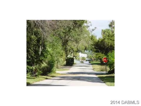 85 Mound Ave, Ormond Beach, FL 32174 photo 2