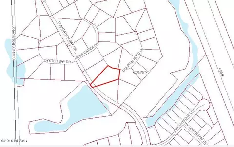704 Dolphin Head Ln, Ormond Beach, FL 32174 photo 7