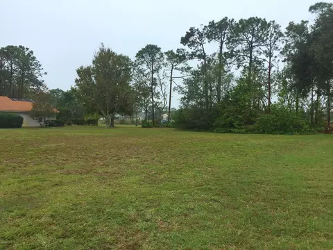 704 Dolphin Head Ln, Ormond Beach, FL 32174 photo 1