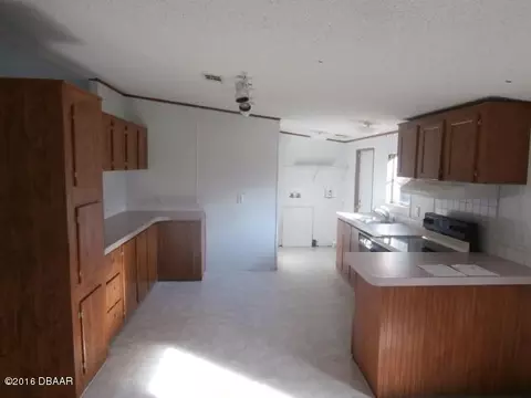 4163 Oleander Ave, Bunnell, FL 32110 photo 3