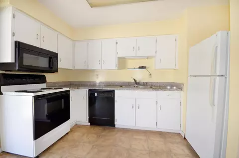 3421 Umbrella Tree Dr, Edgewater, FL 32141 photo 3