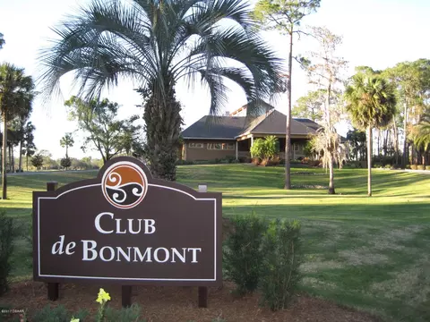 901 Brookridge Ln, Ormond Beach, FL 32174 photo 34