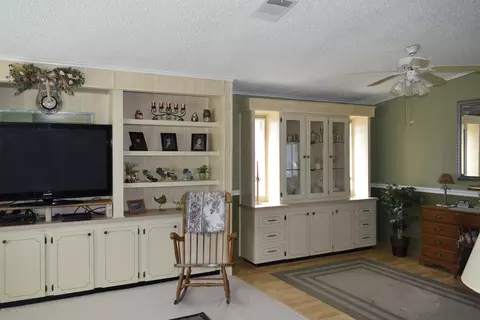 165 Red Bass Ln, Edgewater, FL 32141 photo 4