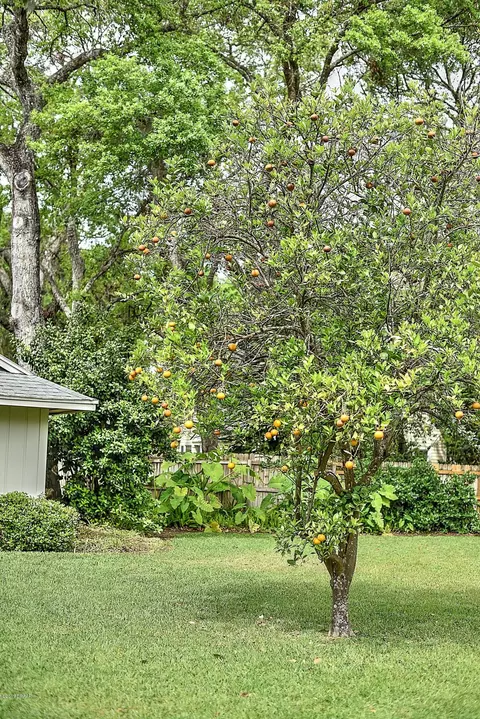 3 La Costa Ct, Ormond Beach, FL 32174 photo 63