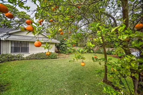 3 La Costa Ct, Ormond Beach, FL 32174 photo 62