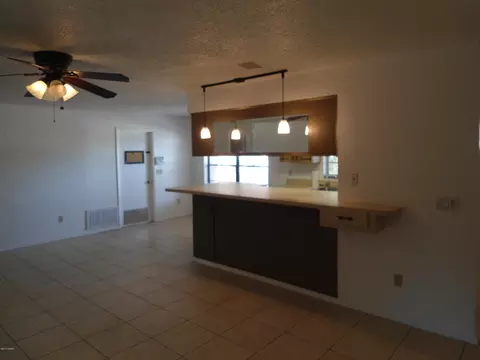 2118 Needle Palm Dr, Edgewater, FL 32141 photo 4