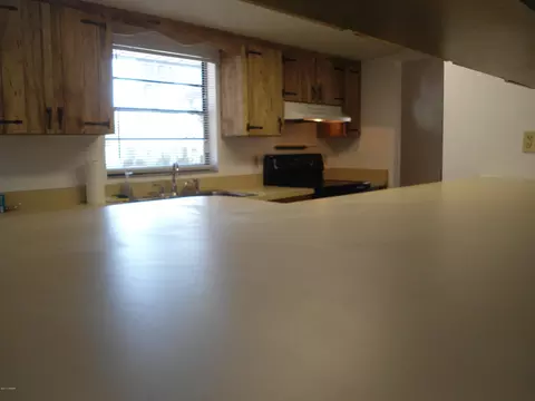 2118 Needle Palm Dr, Edgewater, FL 32141 photo 2