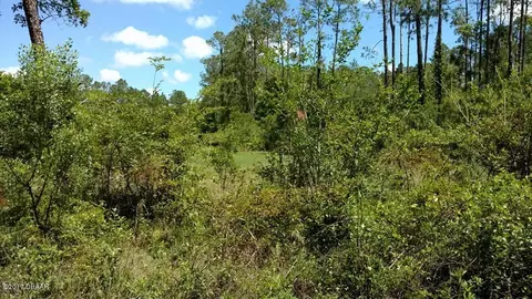 148 Conifer Ln, Ormond Beach, FL 32174 photo 8